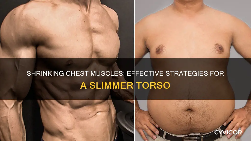 how to shrink chest muscles