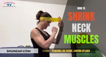 Shrinking Neck Muscles: Effective Strategies for a Slimmer Neckline