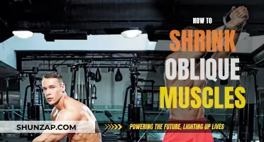 Shrinking Oblique Muscles: Targeted Exercises for a Slimmer Waist