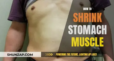 Shrinking Stomach Muscles: Effective Strategies for a Trim Midsection