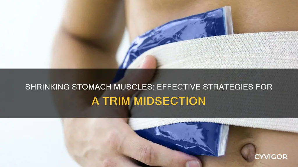 how to shrink stomach muscle
