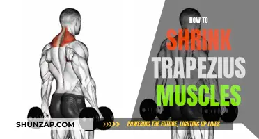 Relieving Trapezius Muscle Tension: Tips for Natural Reduction