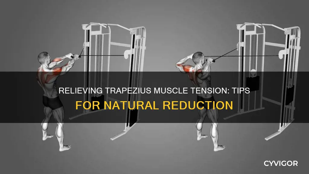 how to shrink trapezius muscles