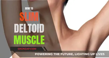 Slimming Deltoid Muscles: Tips and Tricks for Toning Your Shoulders