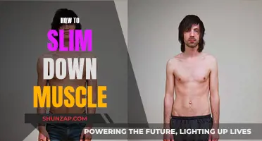Slimming Muscles: Strategies for a Leaner Physique