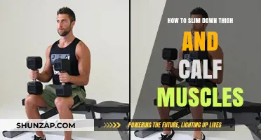 Sculpting Sleek Legs: A Guide to Toning Thighs and Calves