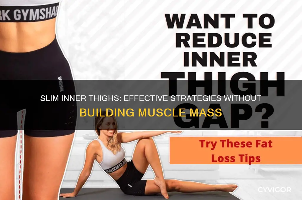 how to slim inner thighs without gaining muscle