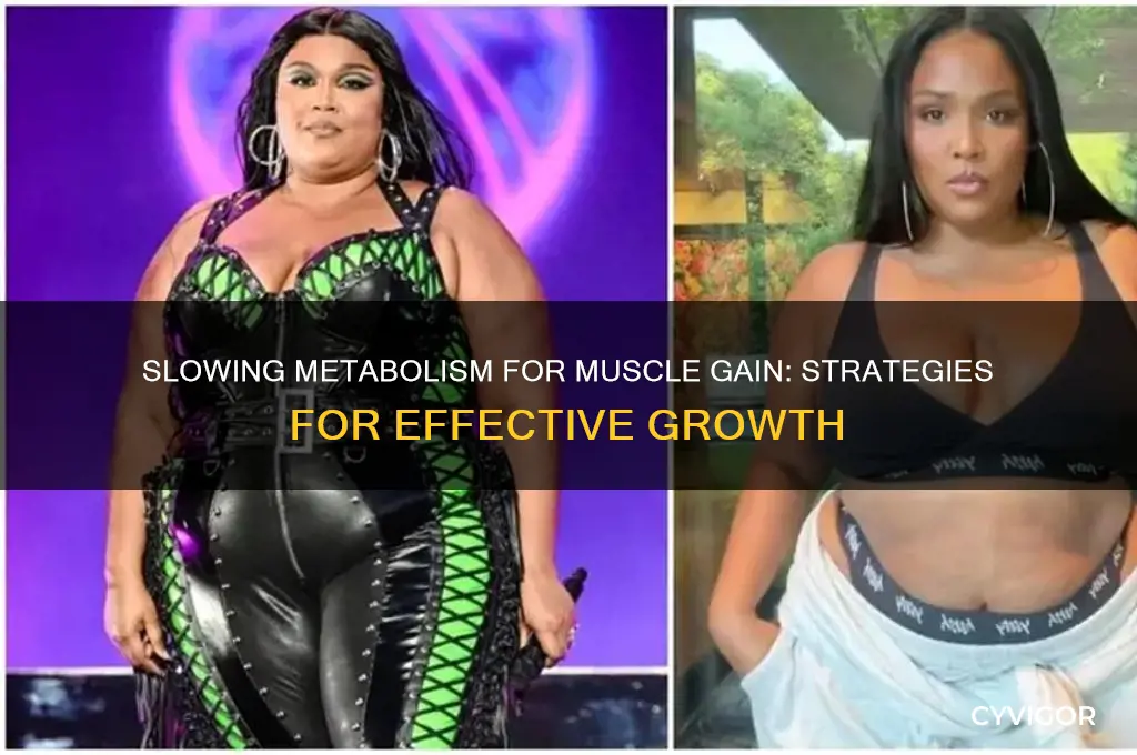 how to slow down metabolism & gain muscle