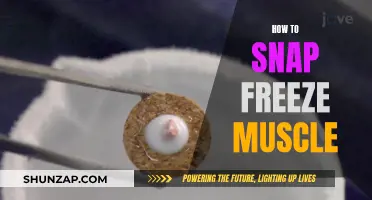 Freezing Muscles: The Art of Snap Freezing