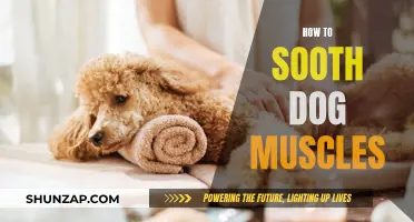 Soothing Dog Muscles: Techniques for Relaxing Your Pet