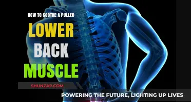 Effective Ways to Relieve Pain from a Pulled Lower Back Muscle
