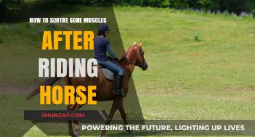 Equestrian Recovery Tips: Soothing Sore Muscles After Horseback Riding