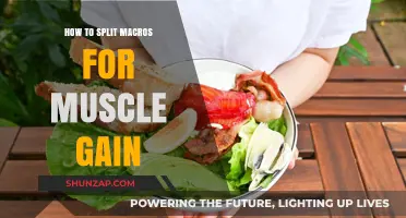 Mastering Macro Splits: Fueling Muscle Growth with Precision Nutrition