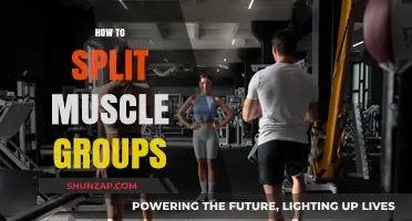 Effective Muscle Group Splits for Optimal Strength and Growth