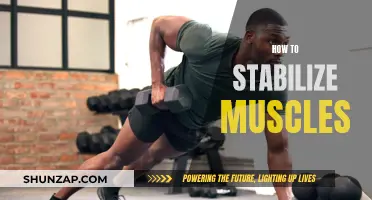 Stabilizing Muscles: Techniques for Improved Strength and Balance