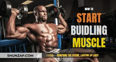 Building Muscle: Getting Started with Strength Training