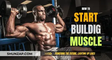 Building Muscle: A Beginner's Guide to Getting Started
