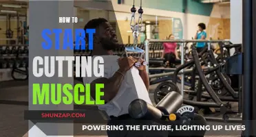 Cutting Muscle: Strategies for Beginners