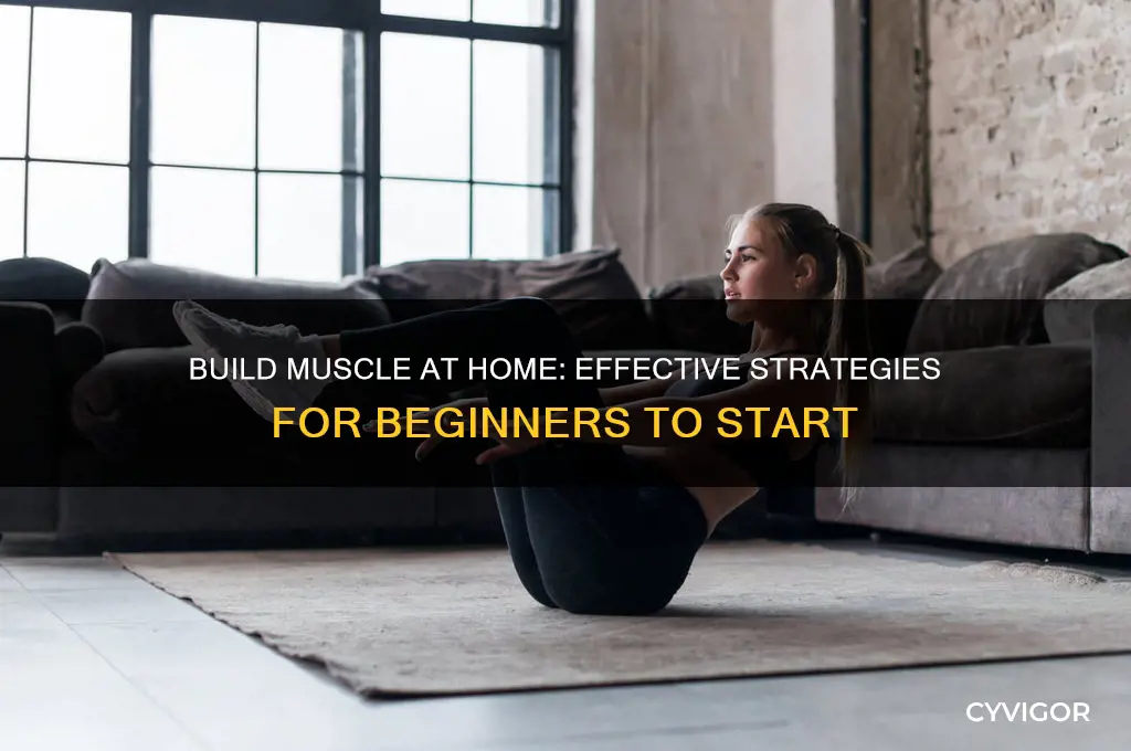 how to start gaining muscle at home