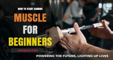 Beginner's Guide to Building Muscle: Simple Steps for Effective Growth