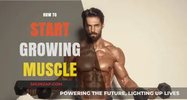 Effective Strategies to Build Muscle: A Beginner's Guide to Strength Training