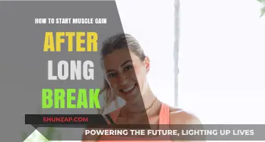 Revive Your Strength: Restarting Muscle Gain After a Long Break