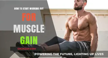 Effective Strategies to Begin Your Muscle-Building Fitness Journey