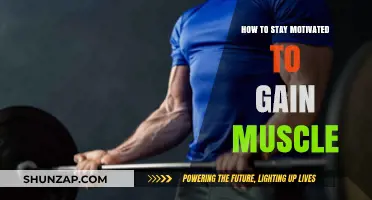 Fuel Your Drive: Proven Strategies to Stay Motivated for Muscle Gain