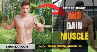 Stay Shredded, Build Muscle: Proven Strategies for Optimal Gains