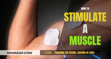 Stimulating Muscle Growth: Techniques for Effective Results