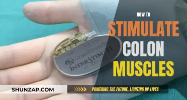 Stimulating Colon Muscles: Techniques for Better Digestive Health
