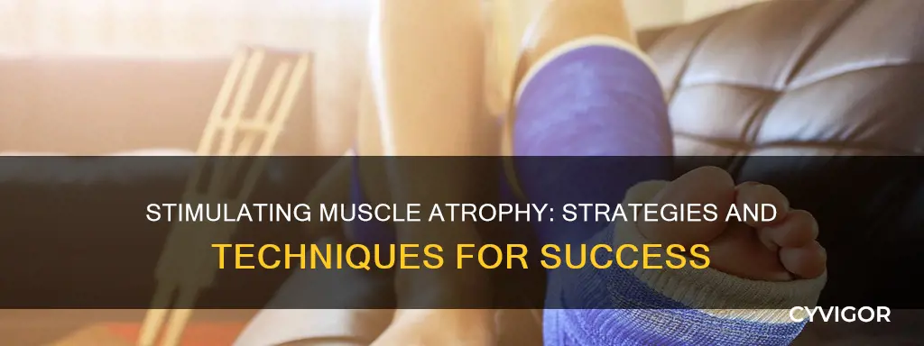 how to stimulate muscle atrophy