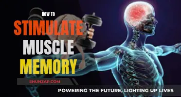 Stimulating Muscle Memory: Techniques for Effective Training