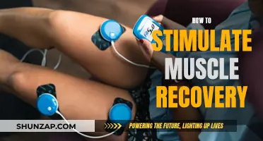 Stimulating Muscle Recovery: Techniques for Optimal Results