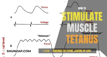 Stimulating Muscle Tetanus: Electric Shock Therapy and More