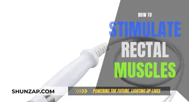Stimulating Rectal Muscles: Techniques for Better Health