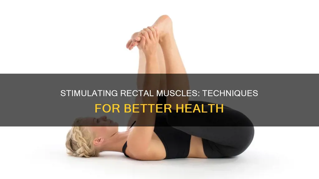 how to stimulate rectal muscles
