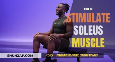 Stimulating Your Soleus Muscle: Simple Techniques for Quick Results