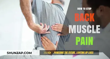 Effective Strategies to Relieve and Prevent Back Muscle Pain