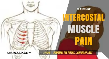 Relieve Intercostal Muscle Pain: Effective Strategies for Quick Comfort and Healing