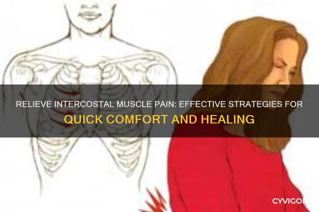 how to stop intercostal muscle pain