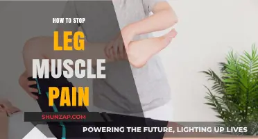 Effective Strategies to Relieve and Prevent Leg Muscle Pain Fast