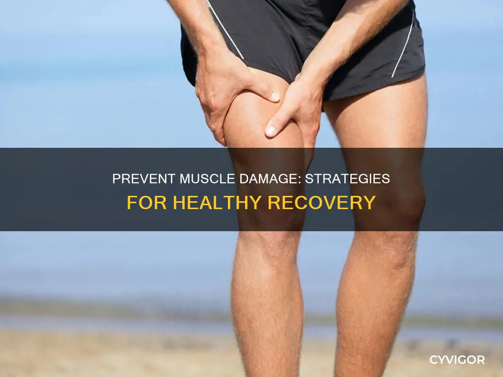 how to stop muscle damage