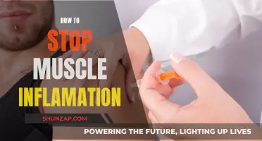 Muscle Inflammation: Natural Ways to Reduce and Prevent It