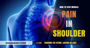 Effective Ways to Relieve and Prevent Shoulder Muscle Pain Fast