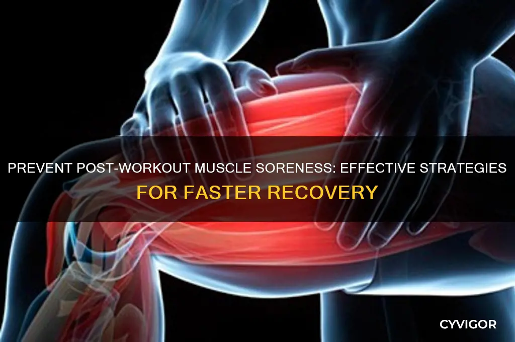 how to stop muscle sores from working out