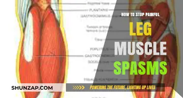 Effective Remedies to Relieve and Prevent Painful Leg Muscle Spasms