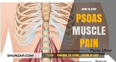 Relieve Psoas Muscle Pain: Effective Stretches, Exercises, and Tips