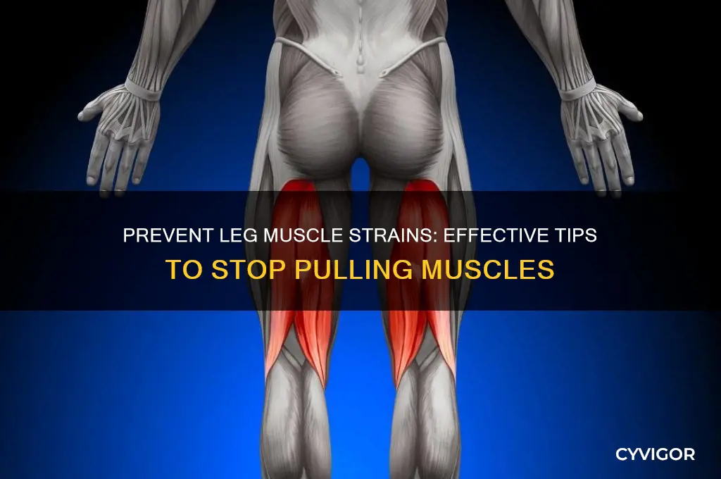 how to stop pulling leg muscles