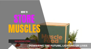 Building Muscle: Effective Strategies for Strength and Storage